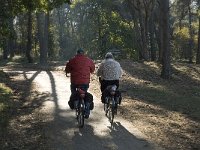 NL, Noord-Brabant, Valkenswaard, Malpiebergsche Heide 14, Saxifraga-Jan van der Straaten